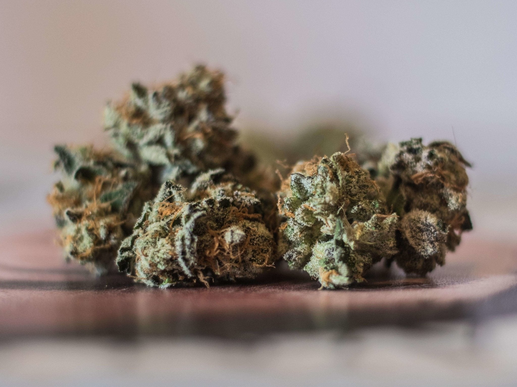 Cannabis Odor Proof Home Storage Solutions: Ultimate Guide to Freshness
