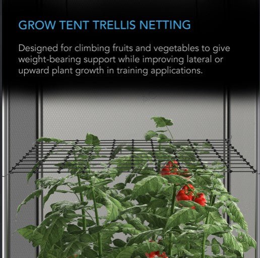 AC Infinity Trellis Netting for 5x5 Grow Tents - AC Infinity - Happy Hydro