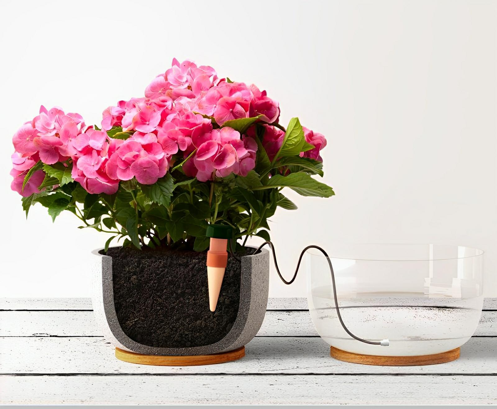 Blumat Classic Plant Watering Stakes, 3 Pack - Blumat - Happy Hydro