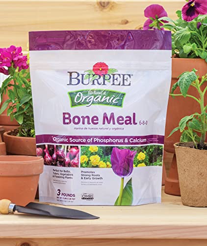 Burpee Bone Meal Fertilizer 6-8-0, 3 lb - Burpee - Happy Hydro