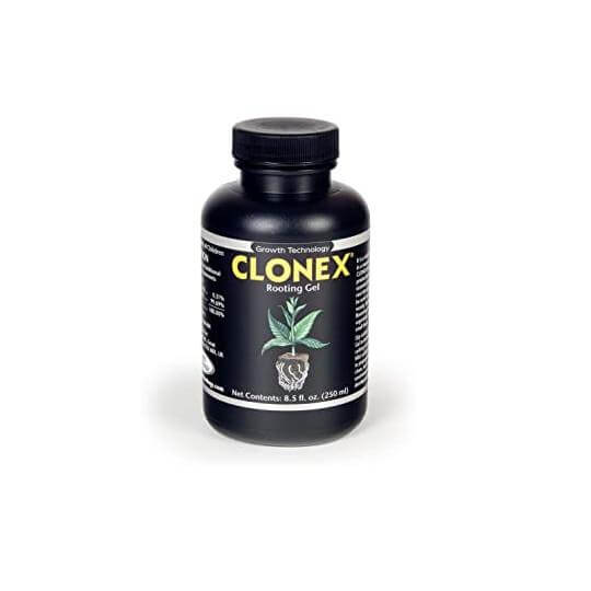Clonex Rooting Gel 250mL - Hydrodynamics International - Happy Hydro