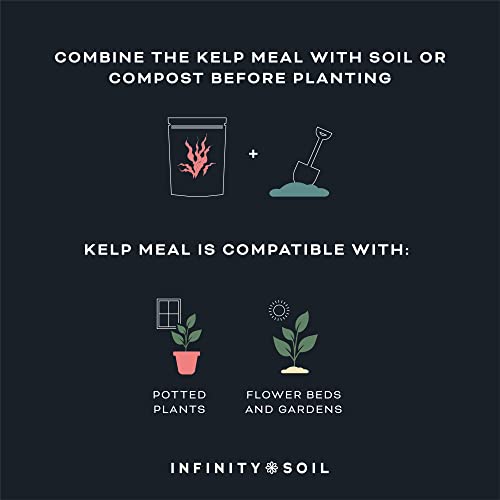 Infinity Soil - Kelp Meal - 1 LB - Infinity Soil - Happy Hydro
