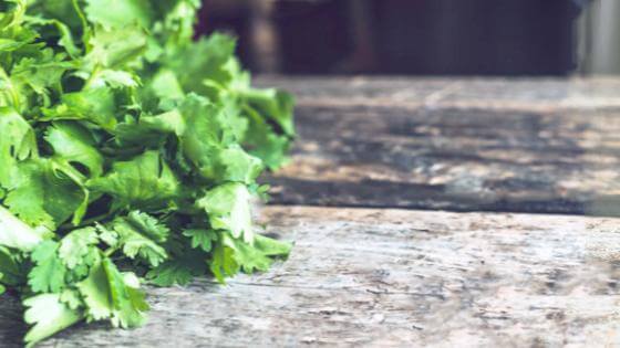 How to Dry Herbs Like Rosemary, Oregano, Basil, and Parsley - Happy Hydro