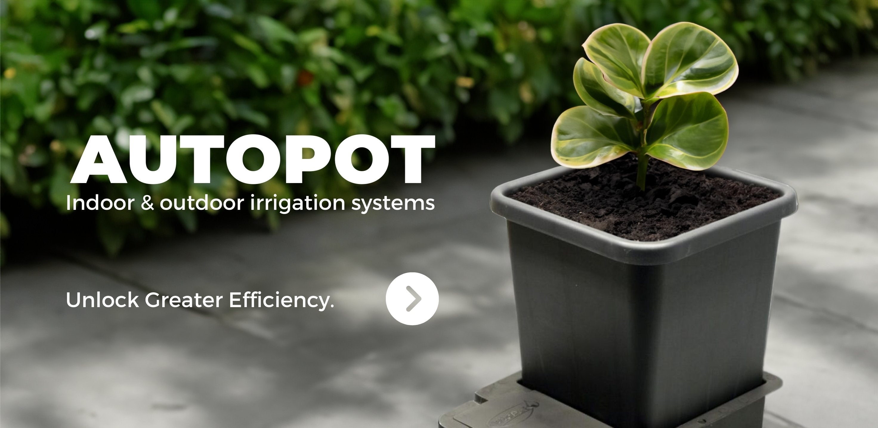 How Do AutoPots Work? Lets Find Out!