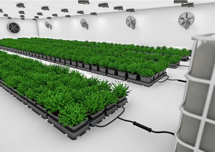 Is AutoPot Technology Right For Your Indoor Garden? - Happy Hydro