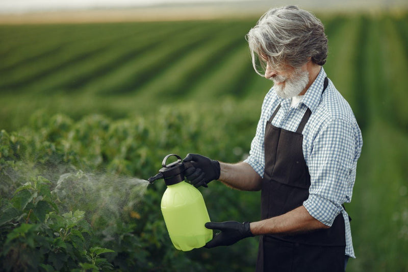The Benefits of Foilar Spraying Plants - Happy Hydro