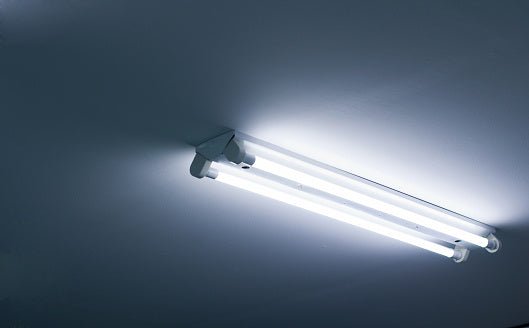 The Best Fluorescent Light for Indoor Gardening - Happy Hydro