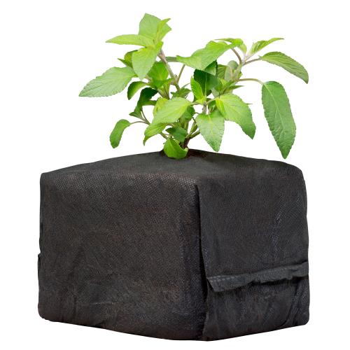 Botanicare CocoPro 6x6x6 Cube