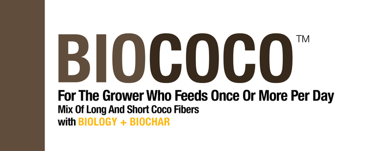 bio365 BIOCOCO 1.5cf