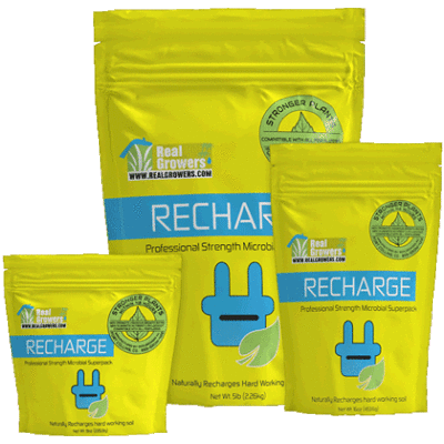 Real Growers Recharge - Soil Microbe Superpack