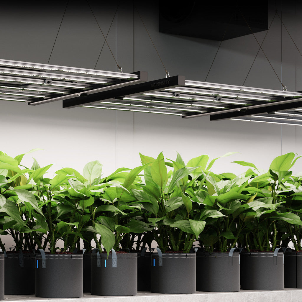 AC Infinity IONFRAME EVO10 1000W Commercial LED Grow Light