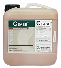 gallon of CEASE biological fungicide and bactericide with Bacillus subtilis