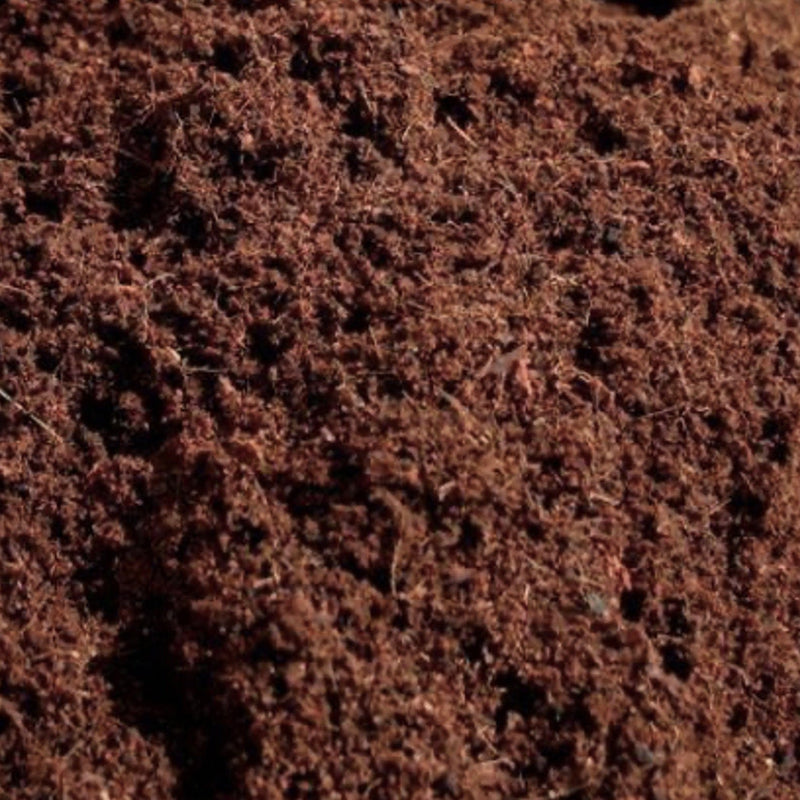 Coco Coir Mushroom Substrate & Casing Layer