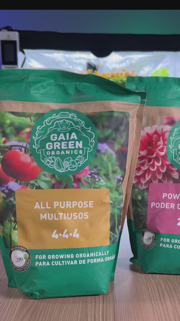 Gaia Green Power Bloom & All Purpose Fertilizer Bundle – 2kg Buckets (4kg Total)