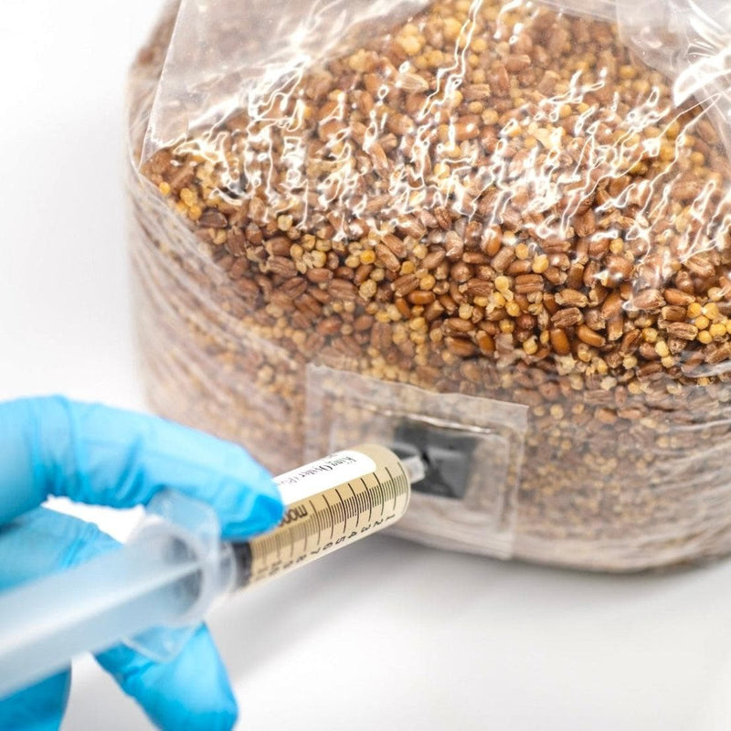 Organic Sterilized Grain Bag with Injection Port