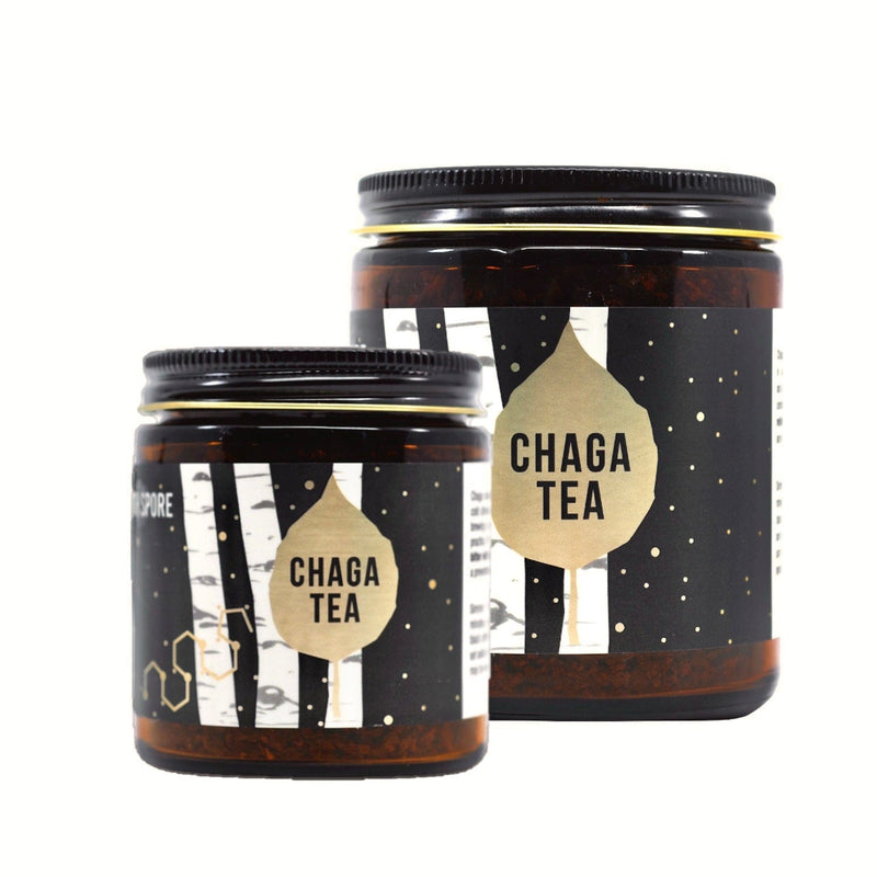 Wild Foraged Chaga Mushroom Tea