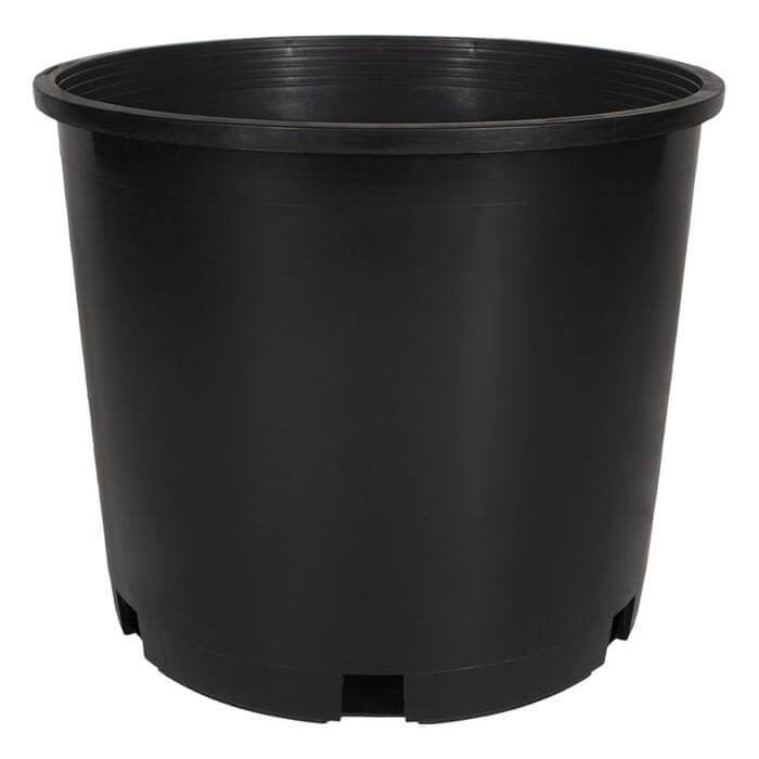 5-Gallon Pots & Saucers Premium Black Squat Injection Nursery Pots 5-Pack - Happy Hydro - Happy Hydro