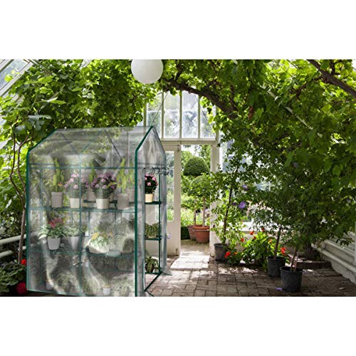 Greenhouse with 8 Sturdy Shelves for Indoor or Outdoor Use - 56" x 56" x 76"