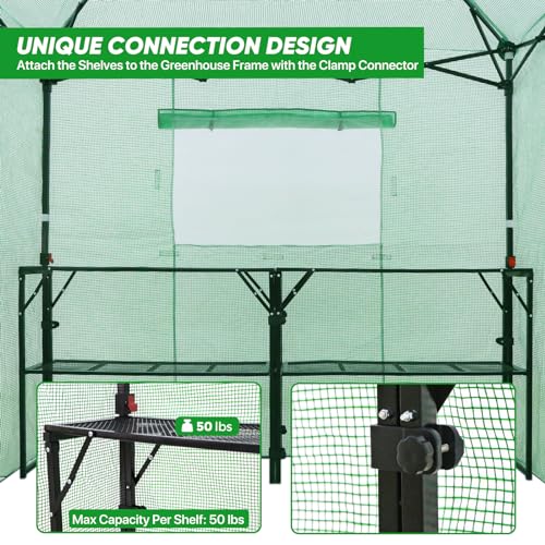 Eagle Peak 7x7 Pop up Greenhouse with 2 Foldable Shelves - Green
