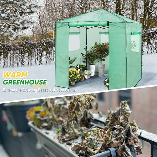 Eagle Peak 7x7 Pop up Greenhouse with 2 Foldable Shelves - Green