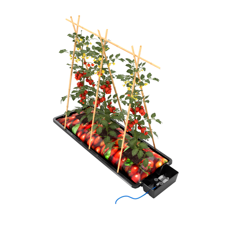 AutoPot Tray2Grow System