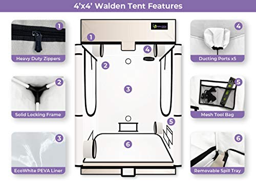 Active Grow Walden 4x4 Grow Tent 48''x48''x80'' - Active Grow - Happy Hydro