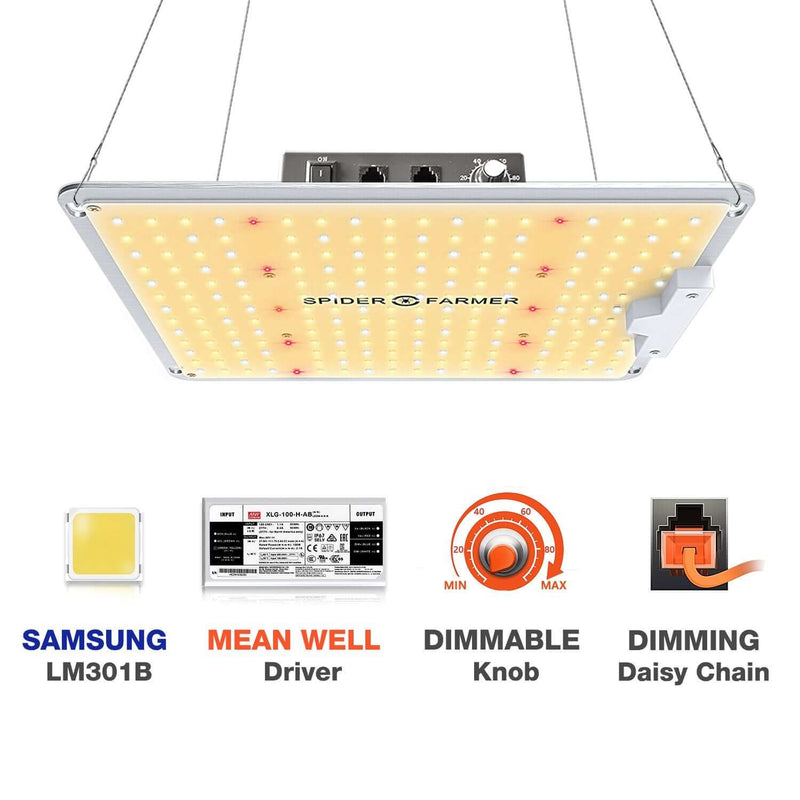 Beginner Grow Tent Kit Spider Farmer LED 2’ x 2’ - Happy Hydro - Happy Hydro