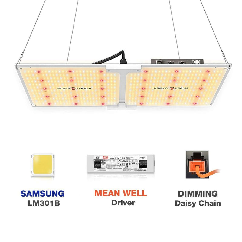 Beginner Grow Tent Kit Spider Farmer LED 2’ x 4’ - Happy Hydro - Happy Hydro