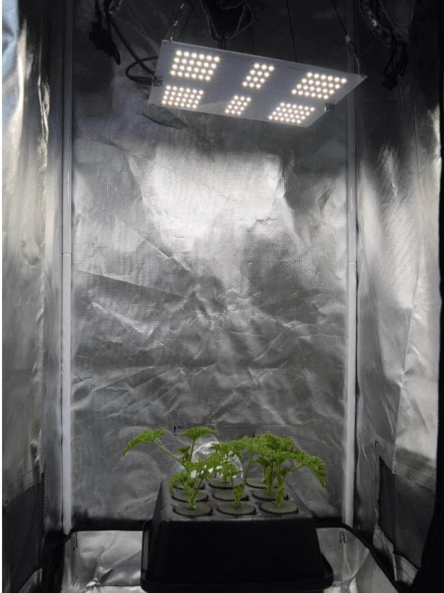 Beginner Veg Grow Tent Kit HLG 65 LED 2’ x 2’ - Happy Hydro - Happy Hydro