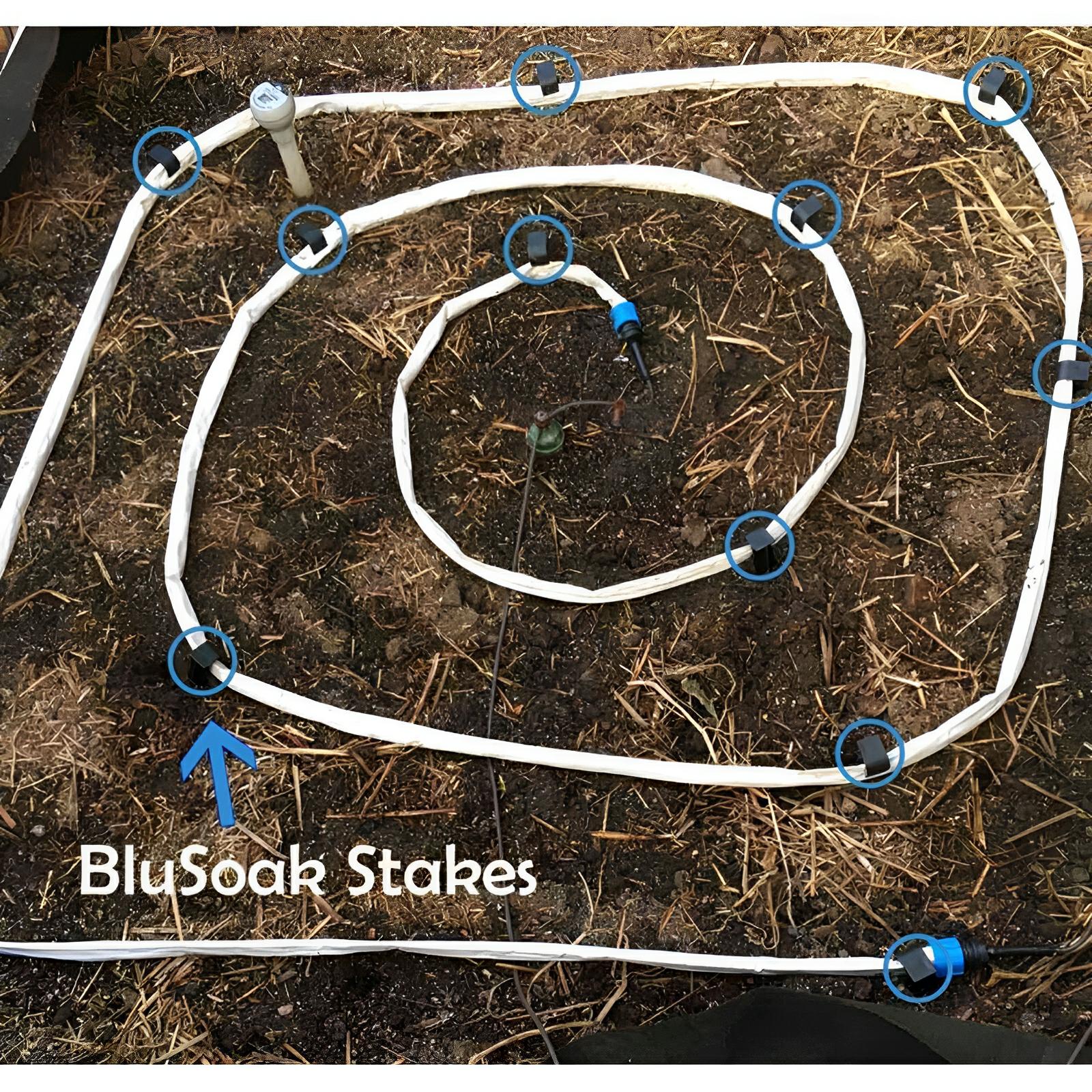 BluSoak Stakes Bulk Single Hold Down Clamp - Blumat - Happy Hydro