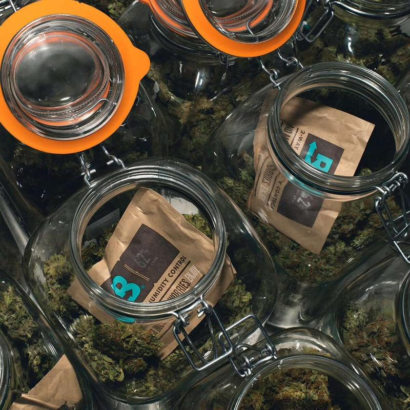 Boveda Refill for Big cVault Home Combo Kit, 62% - Boveda - Happy Hydro