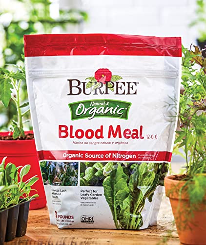 Burpee Blood Meal Fertilizer 12-0-0, 3 lb - Burpee - Happy Hydro