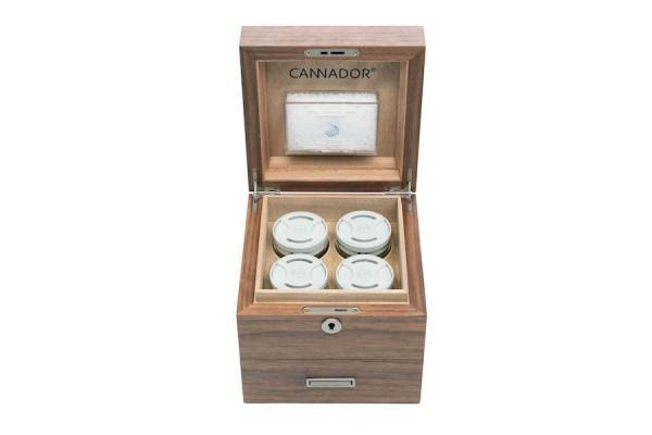 Cannador 4 Strain with Drawer - Cannador - Happy Hydro
