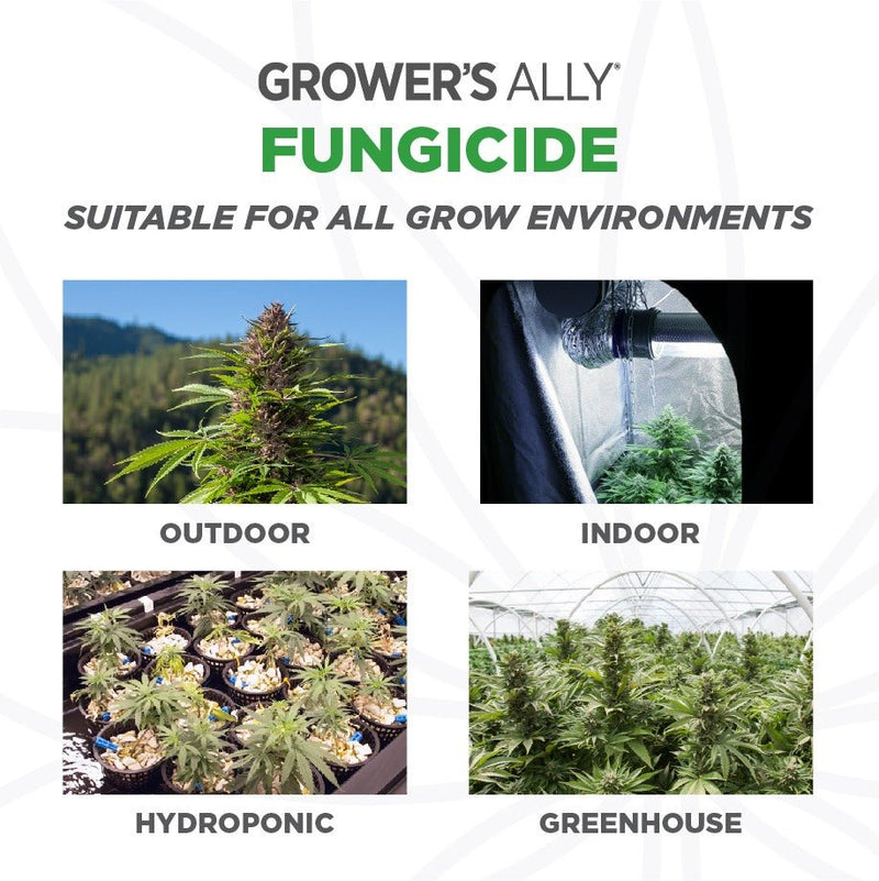 Grower's Ally Fungicide - Grower's Ally - Happy Hydro