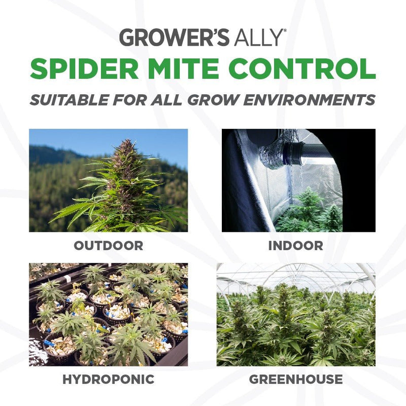 Grower's Ally Spider Mite Control - Grower's Ally - Happy Hydro