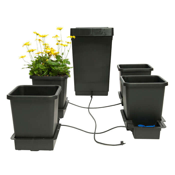 Happy Hydro Automated Grow Tent Kit 4-Plant 4’ x 4’ x 6’8