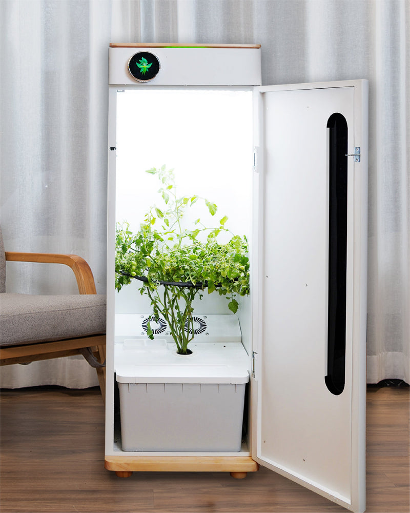 Hey Abby Automated Hydroponic Grow Box - Hey Abby - Happy Hydro