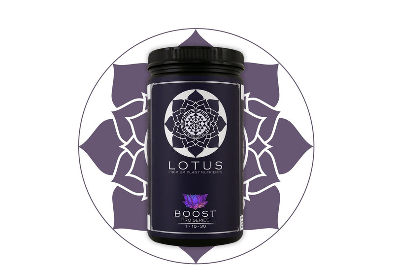 Lotus Pro Series- Boost - Lotus - Happy Hydro