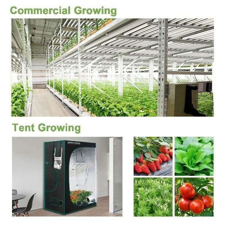 Mars Hydro FC 6500 LED Grow Light 730W - Mars Hydro - Happy Hydro