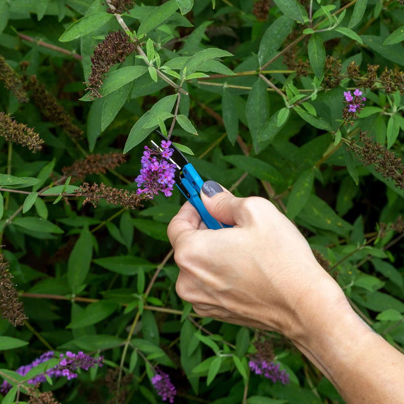 Mini Trimming Scissors- 5 Pack of Trimming Scissors for Small Plants & Bonsai Pruning - Happy Hydro Accessories - Happy Hydro