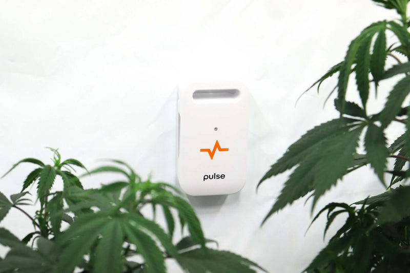 Pulse ONE Environmental Monitor - Pulse - Happy Hydro