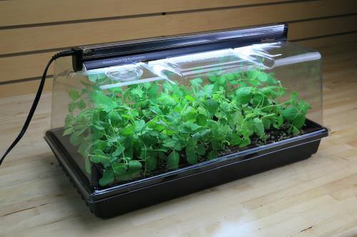 Super Sprouter Deluxe Propagation Kit - Super Sprouter - Happy Hydro