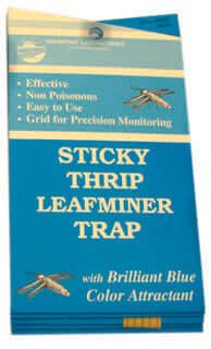 Thrip/Leafminer Traps, 5-pack - Seabright Laboratories - Happy Hydro
