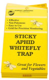 Whitefly Traps, 5-pack - Seabright Laboratories - Happy Hydro
